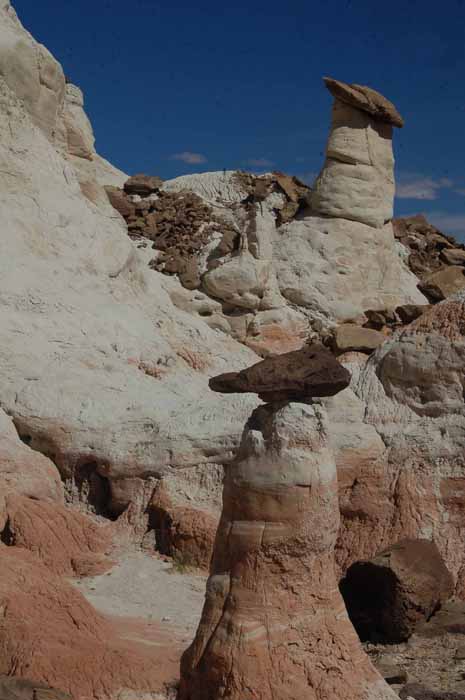 the toadstool trail